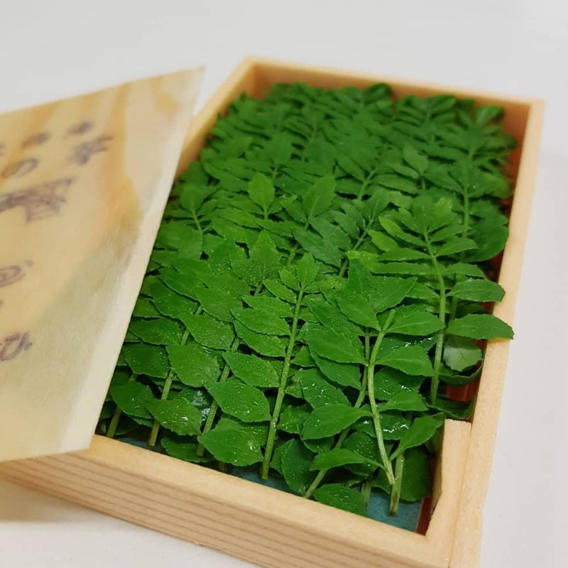 SANSHO LEAVES 1B - Image 2